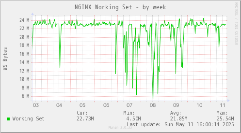 NGINX Working Set