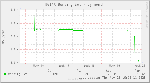 NGINX Working Set